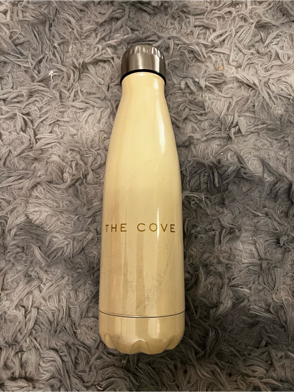 Cream Stainless Insulated Water Bottle